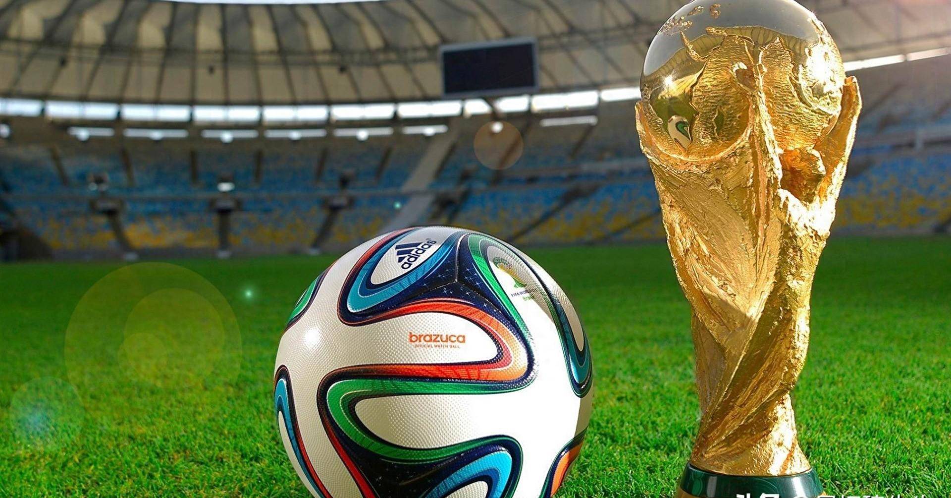 若有付费 若有付费