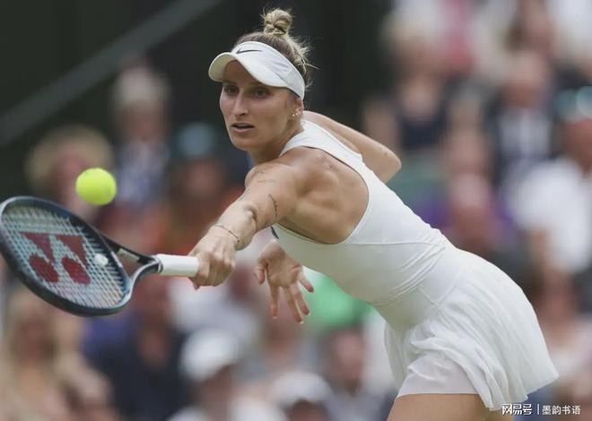 流量与信任 流量与信任